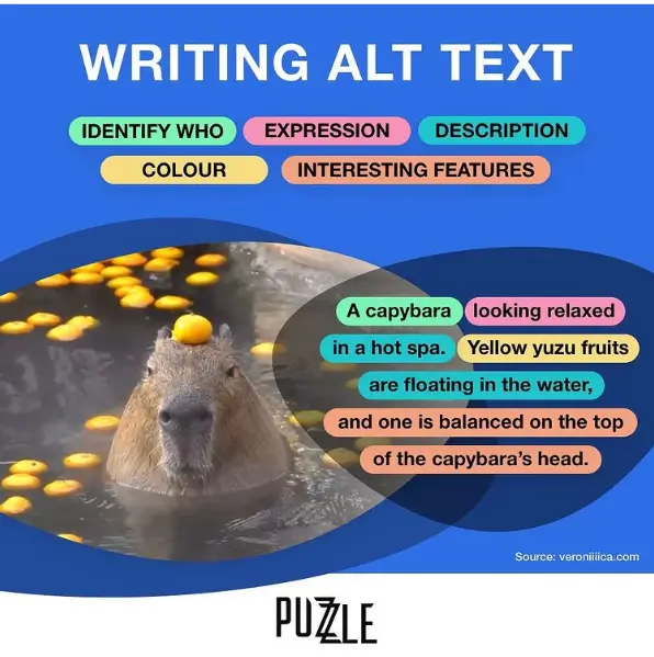 An infographic titled “How To Write Alt Text” featuring a photo of a capybara. Parts of alt text are divided by color, including identify who, expression, description, colour, and interesting features. The finished description reads “A capybara looking relaxed in a hot spa. Yellow yuzu fruits are floating in the water, and one is balanced on the top of the capybara’s head.”